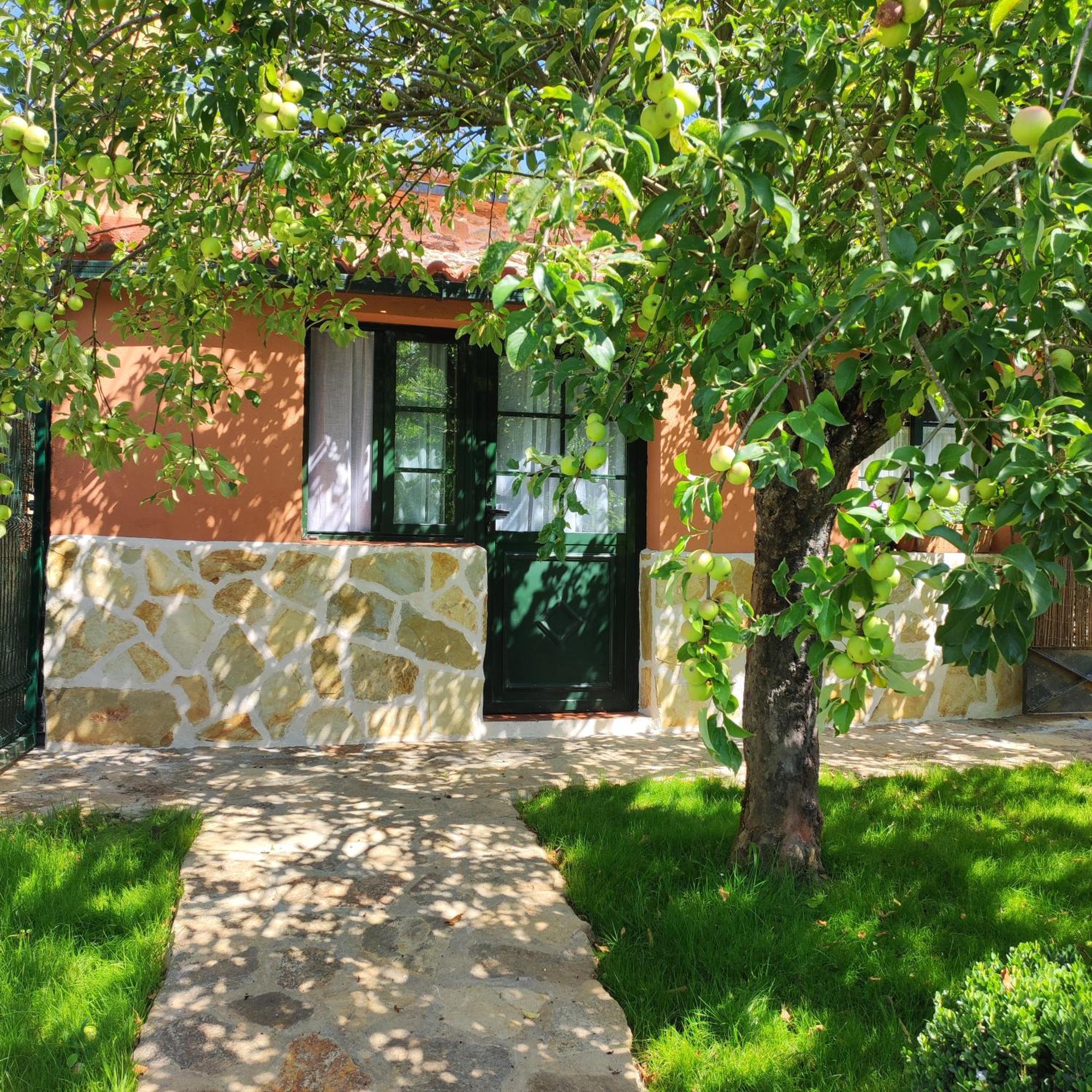 Casa Dos Cregos Apartman Bascuas Kültér fotó